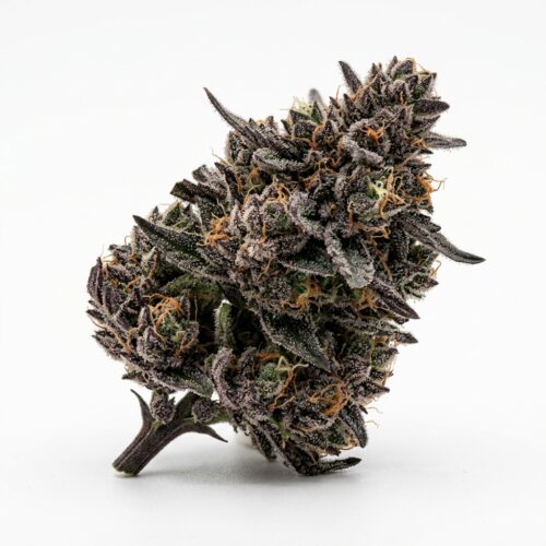 Black Zoap cannabis Bud Close-up