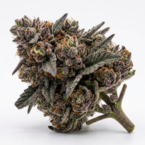 Cinnamon Milk cannabis Bud Close-up