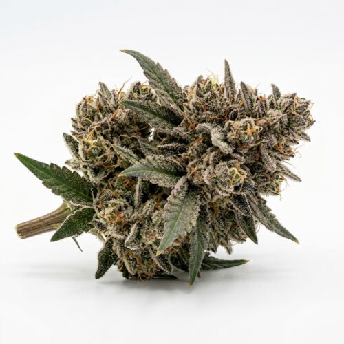 Modified Grapes cannabis Bud Close-up