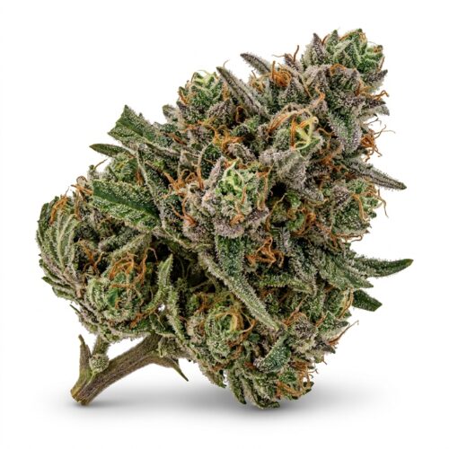 One Piece cannabis Bud Close-up