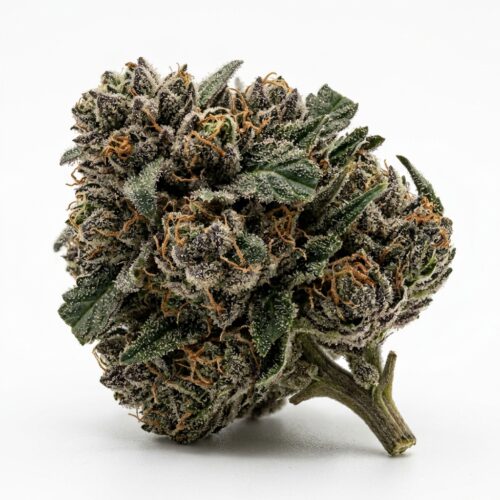 Rotten Apple 3N cannabis Bud Close-up