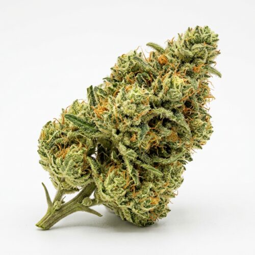 STOOPID FRUITS cannabis Bud Close-up