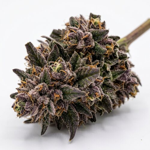 Slurricane IX cannabis Bud Close-up