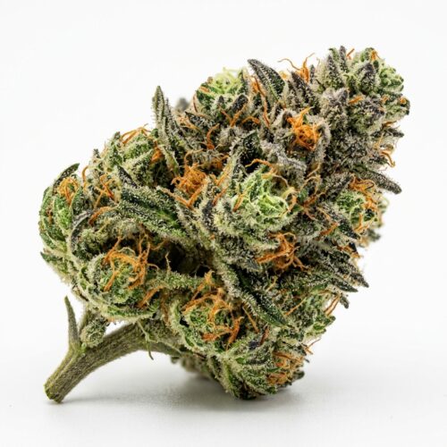 The Soap cannabis Bud Close-up