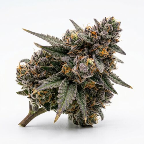 berry runtz cannabis Bud Close-up