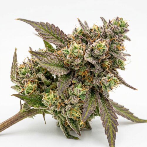candy nerds cannabis Bud Close-up