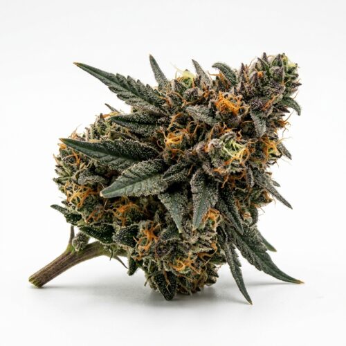cherry cookie breath cannabis Bud Close-up