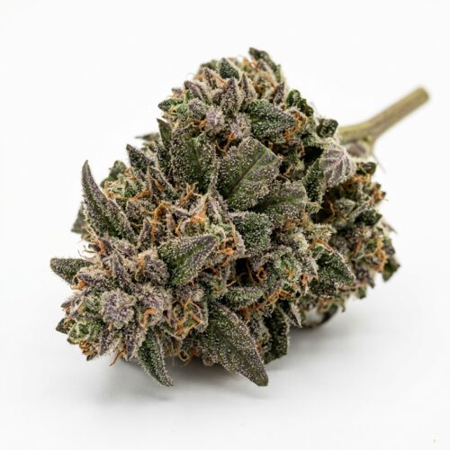 cherry pie cannabis Bud Close-up