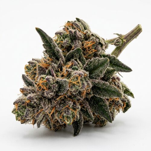 lemon cherry gelato cannabis Bud Close-up