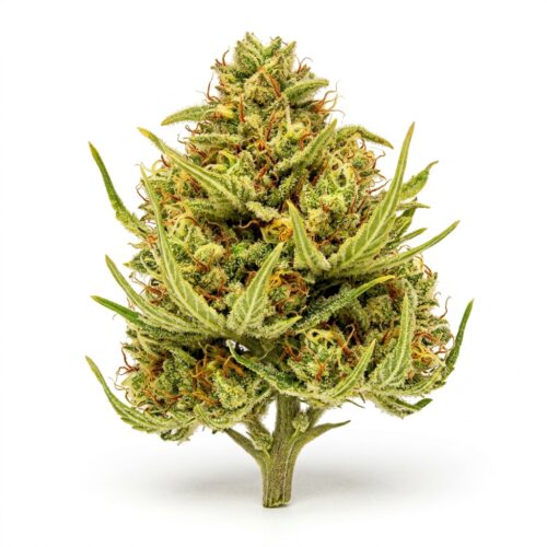 pineapple express cannabis Bud Close-up