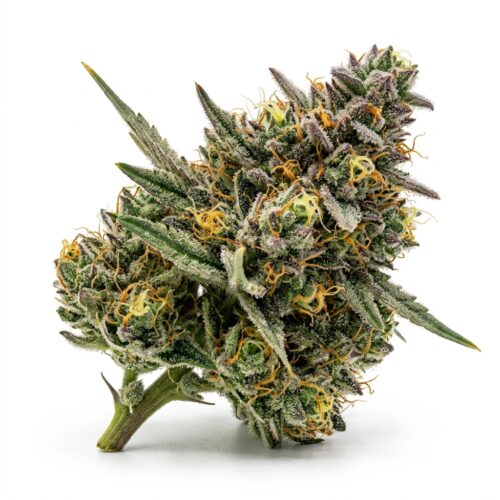 pop rocks cannabis Bud Close-up