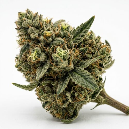 retro runtz cannabis Bud Close-up