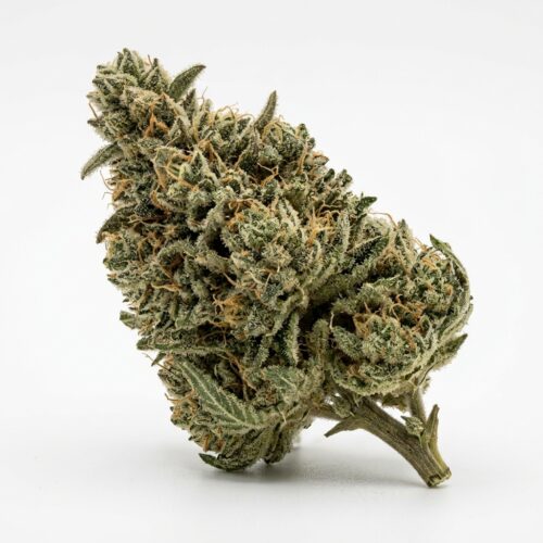 sour diesel runtz cannabis Bud Close-up