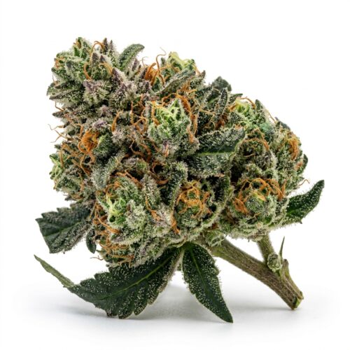 zkittlez cannabis Bud Close-up