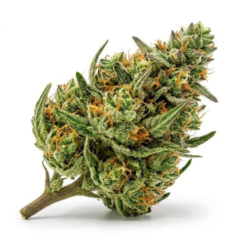 64 sunrise cannabis Bud Close-up