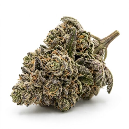 gelato runts cannabis Bud Close-up