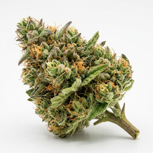 peach panther cannabis Bud Close-up