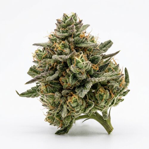 sky kush cake cannabis Bud Close-up