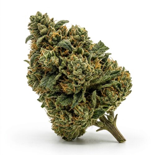 skywalker kush cannabis Bud Close-up