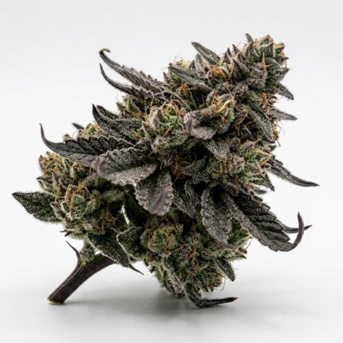 Blacknana cannabis Bud Close-up