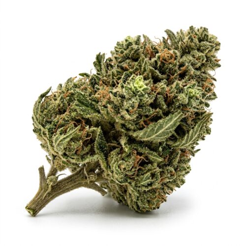 Buried In Blue cannabis Bud Close-up