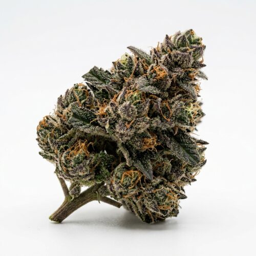 Cherry Martinelli cannabis Bud Close-up