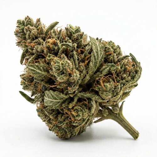 Frozen Pomegranate cannabis Bud Close-up