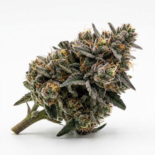 Fuzzy Logic cannabis Bud Close-up