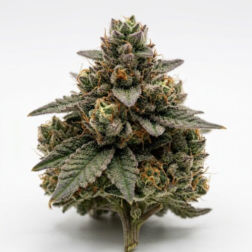 Gas Lit cannabis Bud Close-up