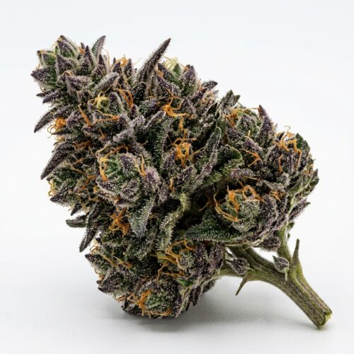 Khalifa Kush Point Breeze cannabis Bud Close-up