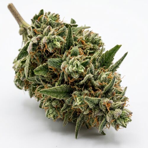 Octane Omakase cannabis Bud Close-up