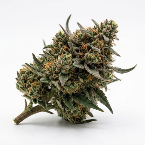 Pineapple Junky cannabis Bud Close-up