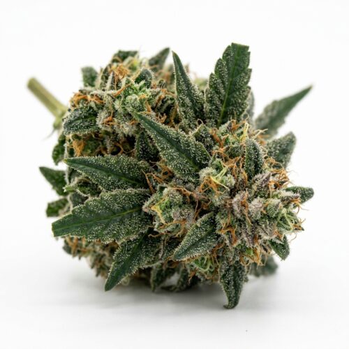 Skywalker 11 cannabis Bud Close-up