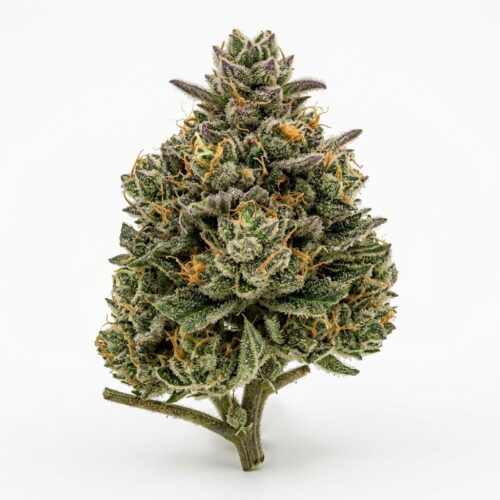Slim Reaper cannabis Bud Close-up