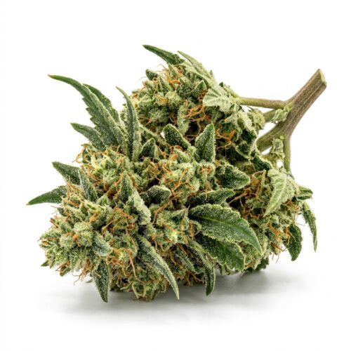 Sour Dubs cannabis Bud Close-up