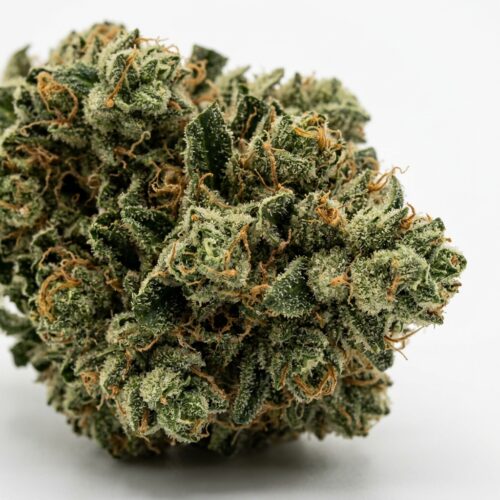 Blue Candy Zours cannabis Bud Close-up