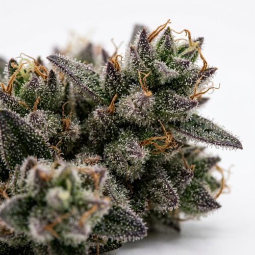 Gyros cannabis Bud Close-up