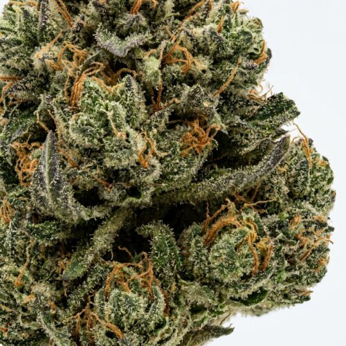 Marker Fumez cannabis Bud Close-up