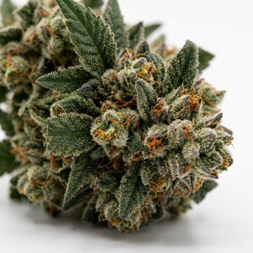 Rk Cookies cannabis Bud Close-up