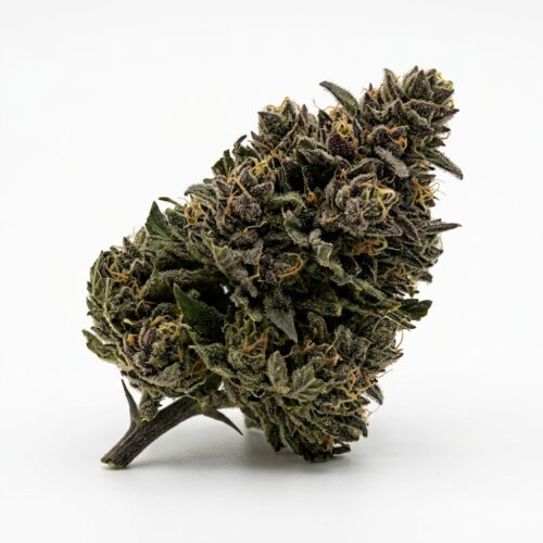 Spiced Beignet cannabis Mature Flowering Cola